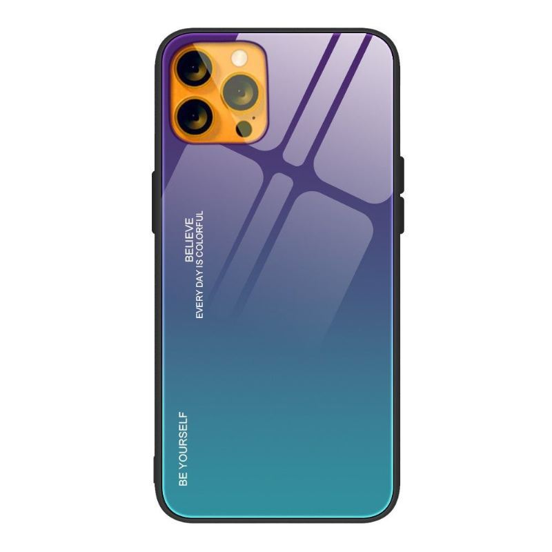 Etui do iPhone 13 Pro Max Kolory Gradientu