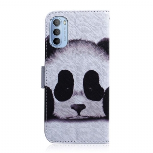 Case do Motorola Moto G31 / Moto G41 Biznes Panda