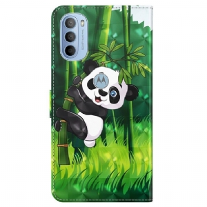 Etui Folio do Motorola Moto G31 / Moto G41 Panda Perched