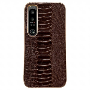 Etui do Sony Xperia 1 IV Skóra Naturalna W Stylu Krokodyla