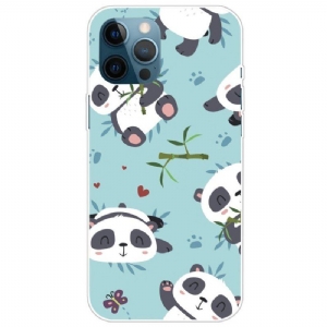 Etui do iPhone 14 Pro Banda Pand